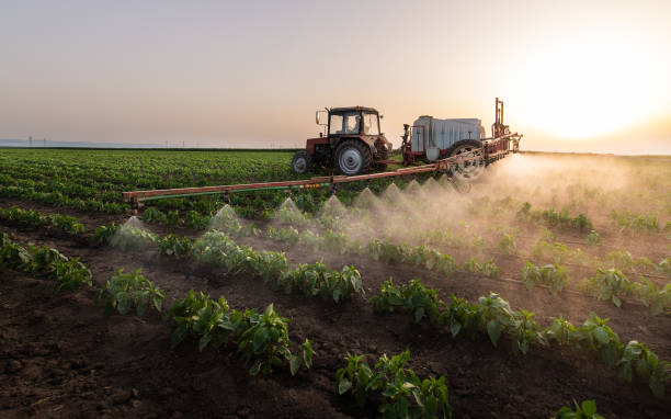 Pest Control Cost in Temecula, CA