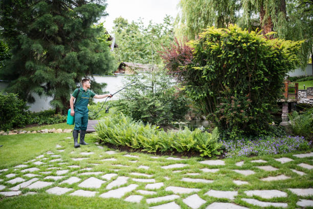 Best Affordable Pest Control Services  in Temecula, CA
